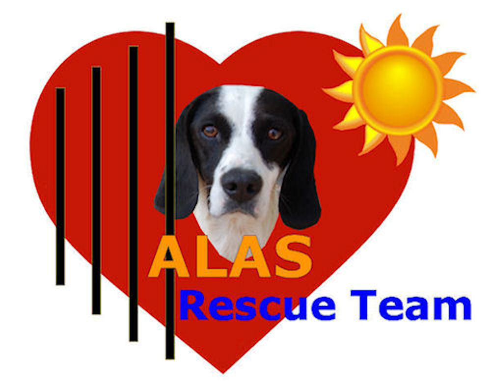 Alas Rescue Team